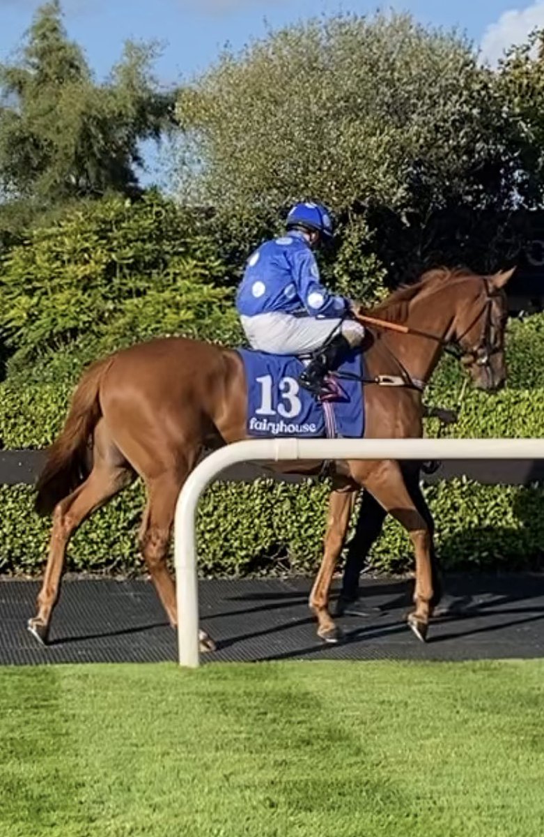 Diego Dias Racing (@diegodiasracing) on Twitter photo What a pleasure to go racing with a genuine and talented horse as Mansa musa, even against his ground was second in the Ballyhane Blenheim Stakes (Listed) (Class 1).
Great result also for the first time out The World's Astage, promising future!!!๐๐ What a pleasure to go racing with a genuine and talented horse as Mansa musa, even against his ground was second in the Ballyhane Blenheim Stakes (Listed) (Class 1).
Great result also for the first time out The World's Astage, promising future!!!๐๐