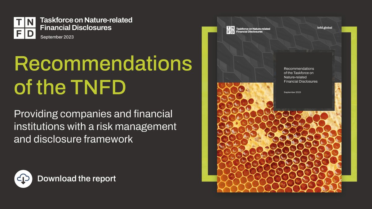 Business and finance are entirely dependent on nature🌍 Our Recommendations were designed with extensive market engagement and help organisations report and take action on nature-related issues. It’s time for business and finance to step forward: tnfd.global #TNFD