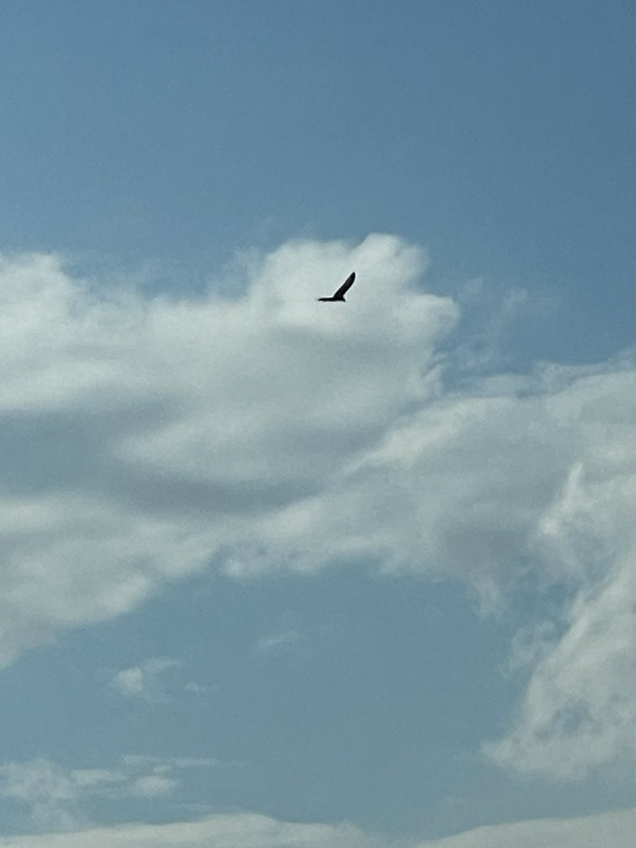 Blake Schofield tweet media