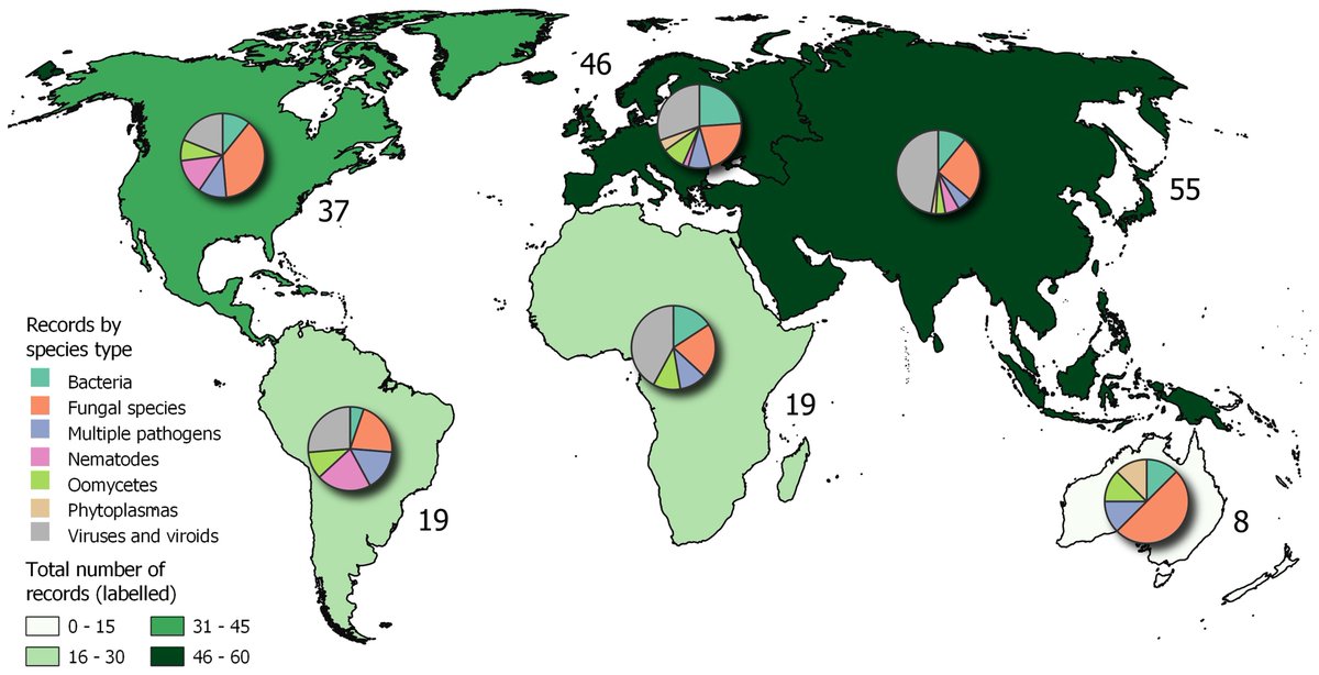 Michael Jeger et al. present a synoptic review of plant disease epidemics and outbreaks across all hosts as reported in peer-reviewed papers published in 2021, summarizing information from the comprehensive CABI Distribution Database.

🔓 doi.org/10.1094/PHYTO-…

<a href="/CABI_News/">CABI</a>