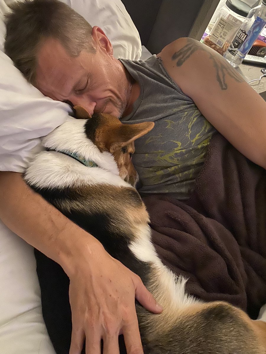 SabrinaNova1's tweet image. I just can’t! 🥹🥰 #theodorecorgivelt #snootparkingonly @imcorinnemec #corinscorgi