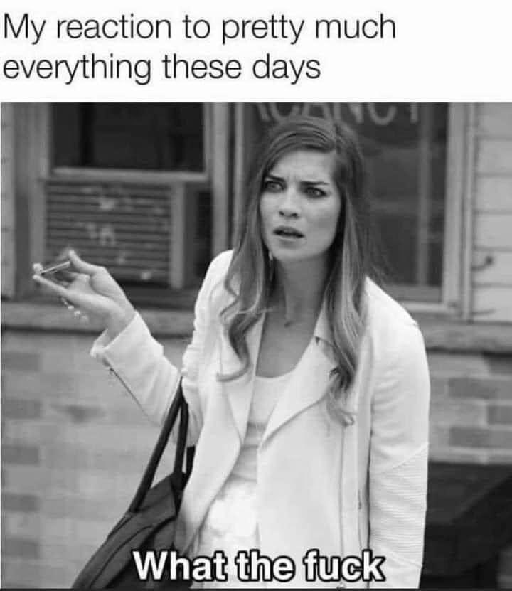 dodle's tweet image. 