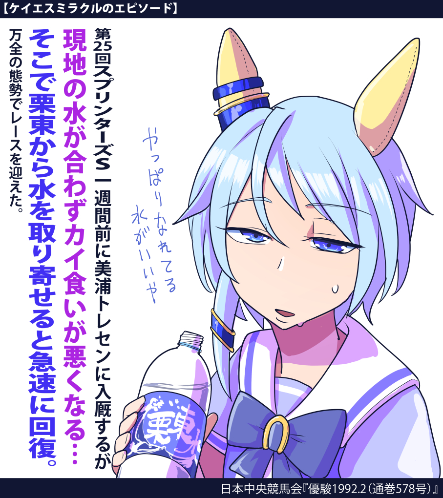 ケイエスミラクルおさらい …ただ経歴的にあっという間だったため