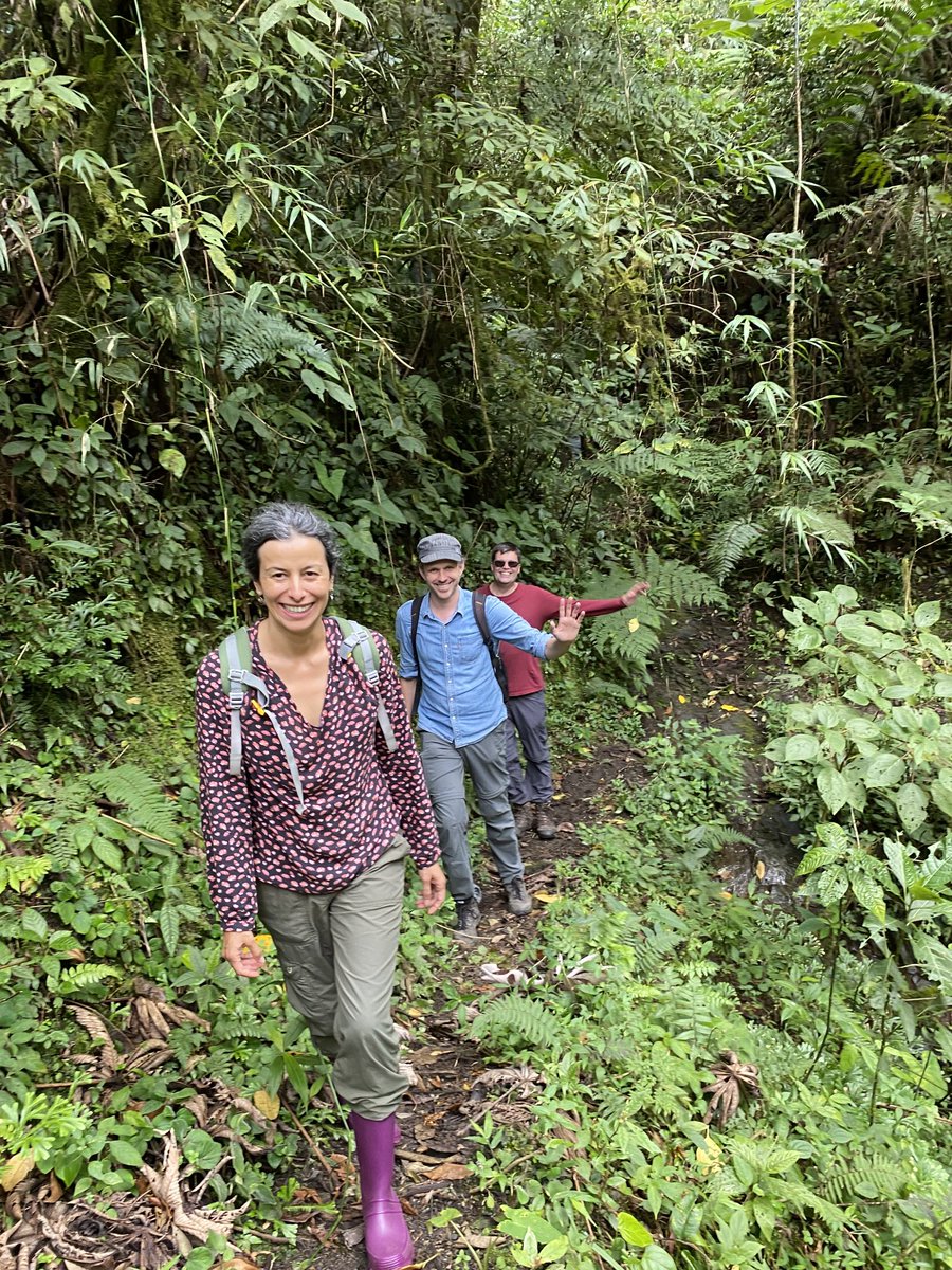 Ximena P. (@ximenapalomequ2) on Twitter photo 🌳📍 Very inspiring course on functional traits and ecosystem function of mountain forest, especially for our youth! <a href="/HomeierJ/">JHomeier</a> <a href="/Hans1Verbeeck/">Hans Verbeeck</a> <a href="/SeleneBaez15/">Selene Baez</a> <a href="/Investiga_UDC/">Vicerrectorado de Investigación</a> 🌳📍 Very inspiring course on functional traits and ecosystem function of mountain forest, especially for our youth! <a href="/HomeierJ/">JHomeier</a> <a href="/Hans1Verbeeck/">Hans Verbeeck</a> <a href="/SeleneBaez15/">Selene Baez</a> <a href="/Investiga_UDC/">Vicerrectorado de Investigación</a>
