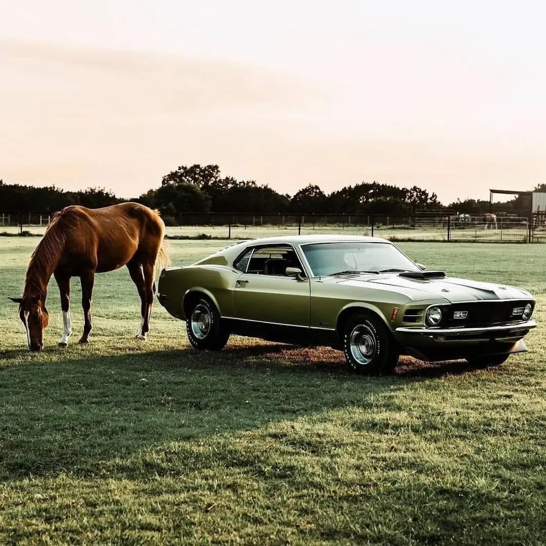 NaderMetawea's tweet photo. The vintage car rides into the wind and the horse gallops happily. Elegance and vigor mingle with each other to make you feel the charm of time 🚗 #camera #lens #light #exposure #shutterspeed #aperture #focus https://t.co/5ob1WLJMYz