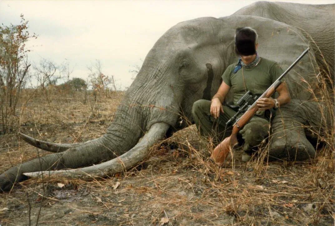 Why does the world still allow trophy hunting? We've done so much harm already. RT if you think there should be a worldwide ban on this barbaric practice.

Nature is amazing. Protect it. 

#ActOnClimate #climate #TrophyHunting #nature #rewilding #GreenNewDeal #biodiversity