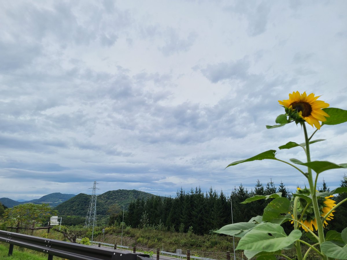 AIRG_akitabe's tweet photo. 上川付近を通過中です🚗
雨が本降りになってきました☔️安全運転で！

↓向日葵ガ咲ク時����
 #ビーラジ https://t.co/GbfbQTp5Td