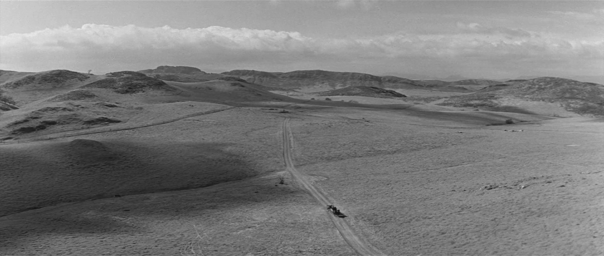 thejoshl's tweet photo. Unbelievably gorgeous movie. https://t.co/awAgxARwwV