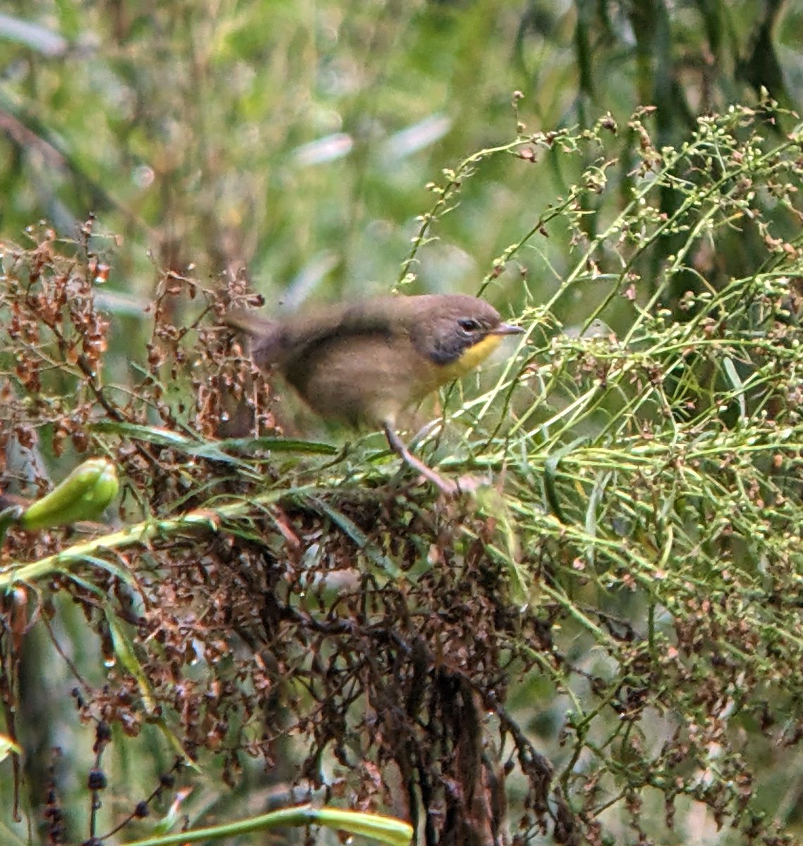 Jenny Kroik tweet media