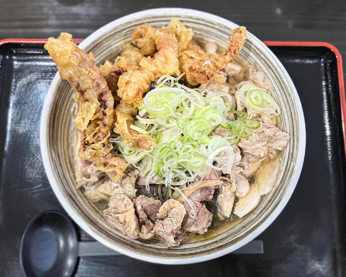 肉そば藤七本町分店
肉そば大+ゲソ天Tp

"官公庁の二郎"として人気を博すボリューミーな冷たい肉そば
ガッシリ太い黒蕎麦に親鶏の肉たっぷり、更にゲソ天トッピングでこの上ない満足感☆汁に浸けても揚げたてのｻｸｻｸ感が損なわれず良いですねえこのゲソ天
本町で千円で済むランチならここがオススメ
