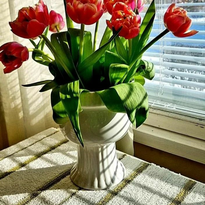 #NouvellePhotoDeProfil