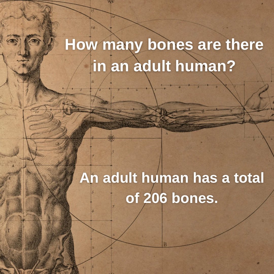 Did you know that? tweet media