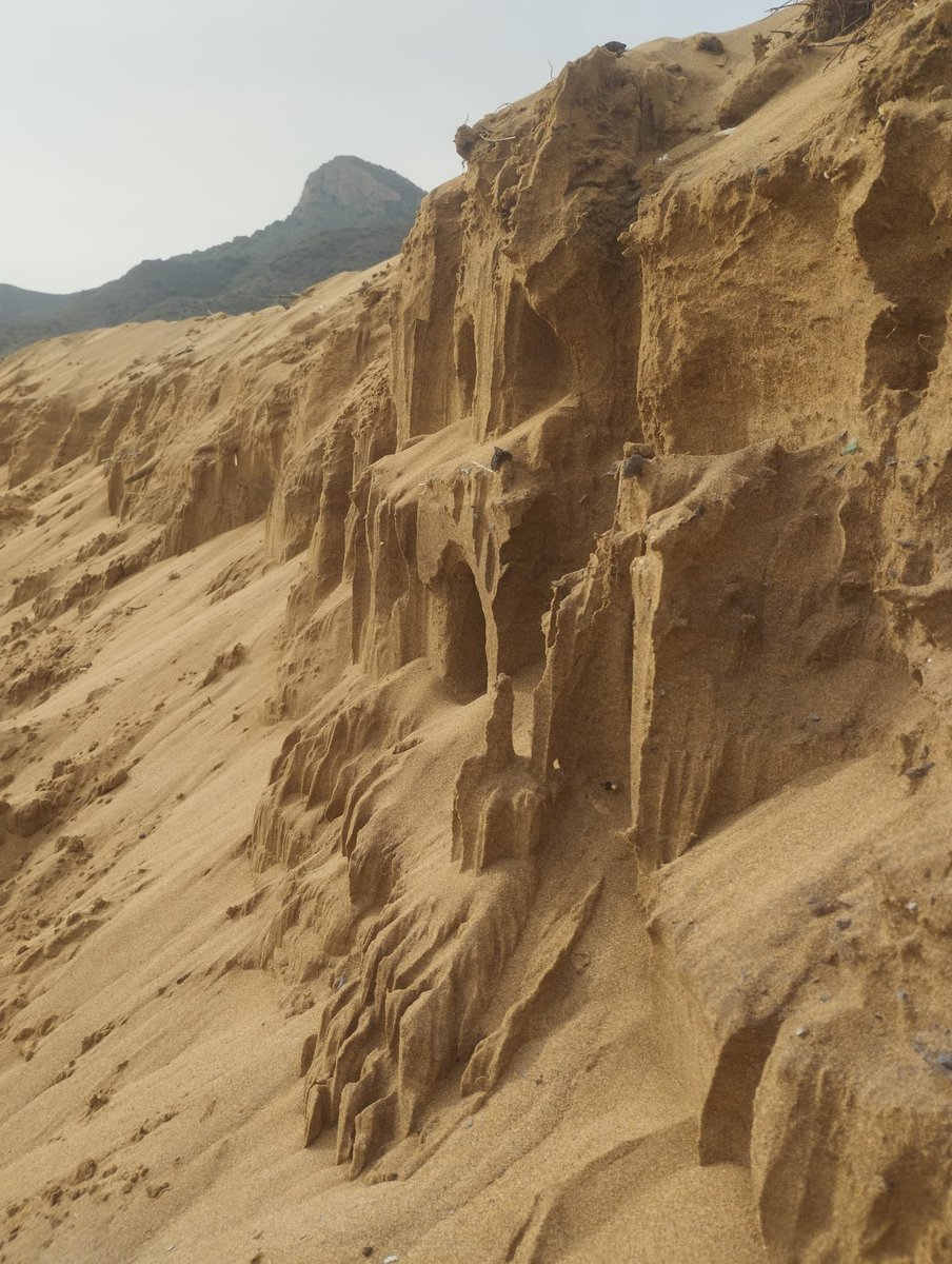Entre Petra y Galway, arena dorada pero lugar de oro… Calblanque.

#MeGustaRegionDeMurcia #EspaciosNaturales <a href="/EspNaturalesMur/">Espacios Naturales Región de Murcia</a>