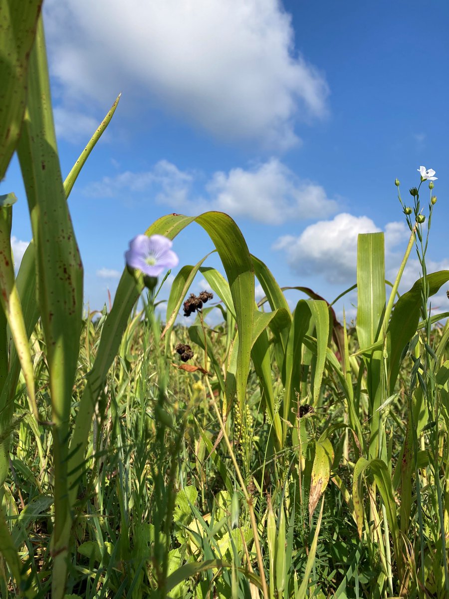 Thank You so much Walnut Creek Seeds for a very inspiring and informative visit today <a href="/WlntCrkJ/">Jay Brandt</a>