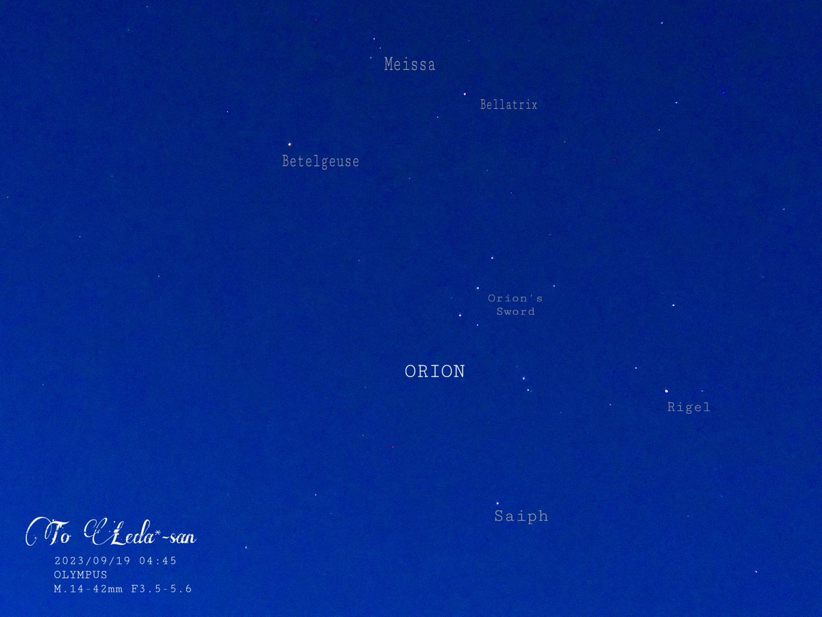 roseleonliliy78's tweet photo. 🌟2023/09/19旧暦:8/5
🌹撮影📸🔭04:45

本日の
【 #Orion 「#オリオン座」】
#Meissa🌟
#Betelgeuse🌟 
#Bellatrix🌟
#OrionsSword✨✨✨ 
#Rigel🌟
#Saiph🌟

撮影できて嬉しいです🥹🥹💗

🌹(*´˘`*)ꀿªᵖᵖᵞ˚❁｡.･📸🔭💗🌹🌸🦢✨🌟🌒🌙 https://t.co/I2xSq1c1Mc