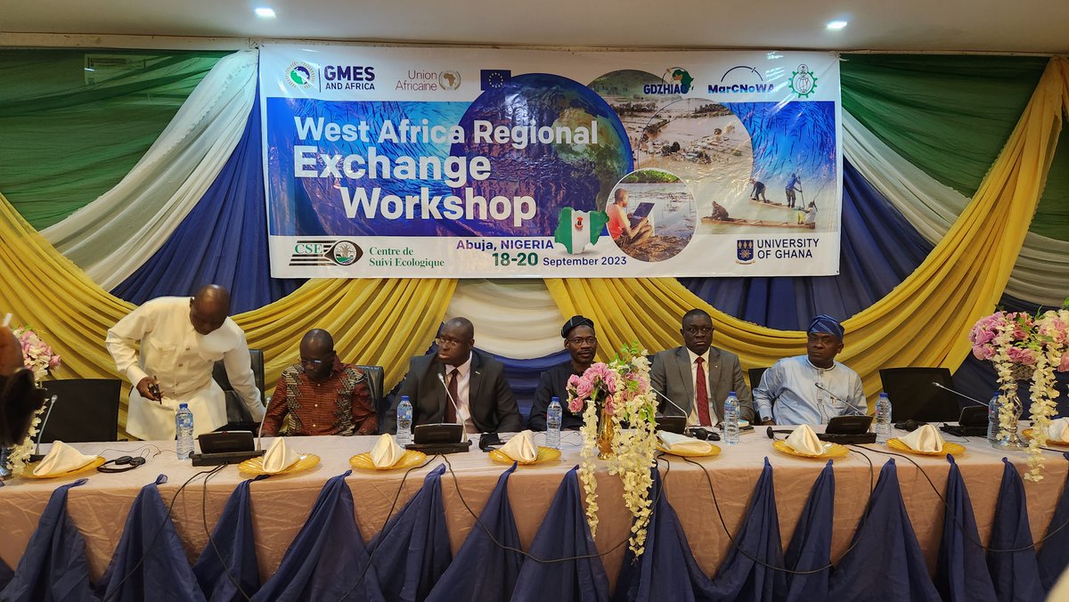 GMES, and Africa tweet media