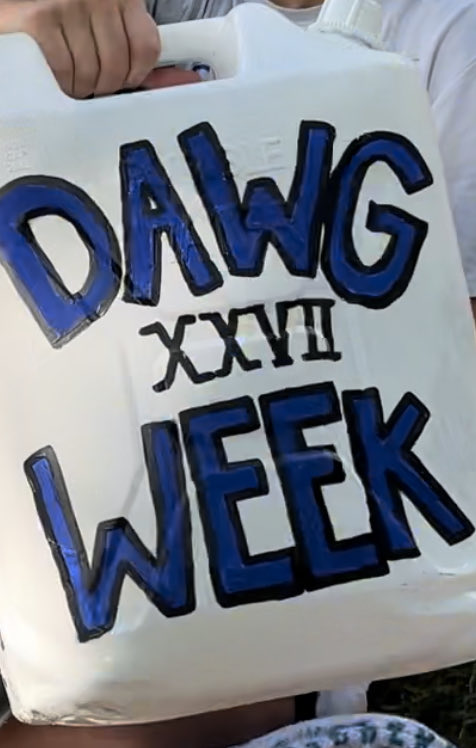 UNG Women's Hoops tweet media