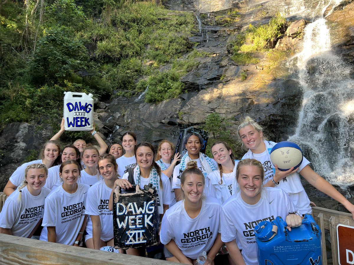 UNG Women's Hoops tweet media