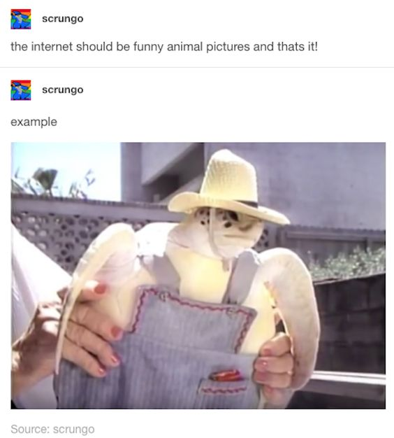 WholesomeMeme's tweet photo. https://t.co/3YEoUhYKFH