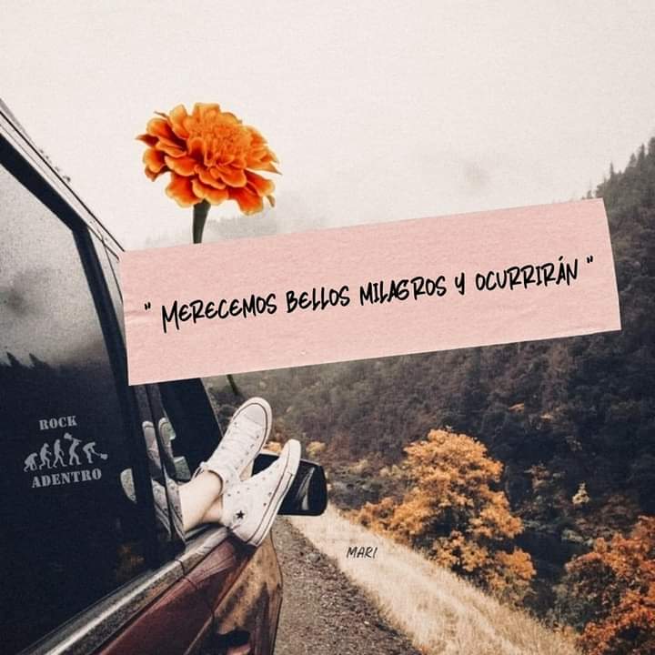 🧡🧡💛🧡🧡💛🧡🧡💛🧡🧡💛🧡🧡💛