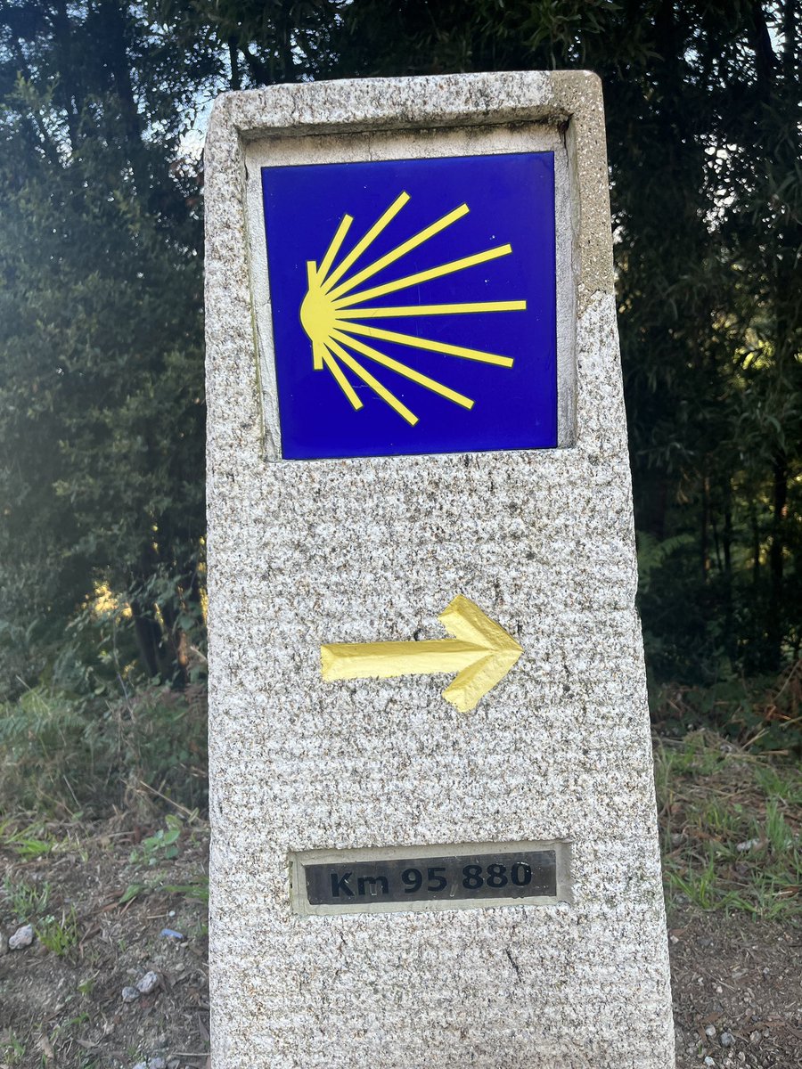 neuroconnective's tweet photo. It’s been an extraordinary week.  I’ve walked 131km in 5 days.  Met many people, shared stories, visited st James tomb and  the Portico in Santiago.  I am changed. #SantiagoDeCompostela #theway #spiritualgrowth https://t.co/fSmM1n0SYx