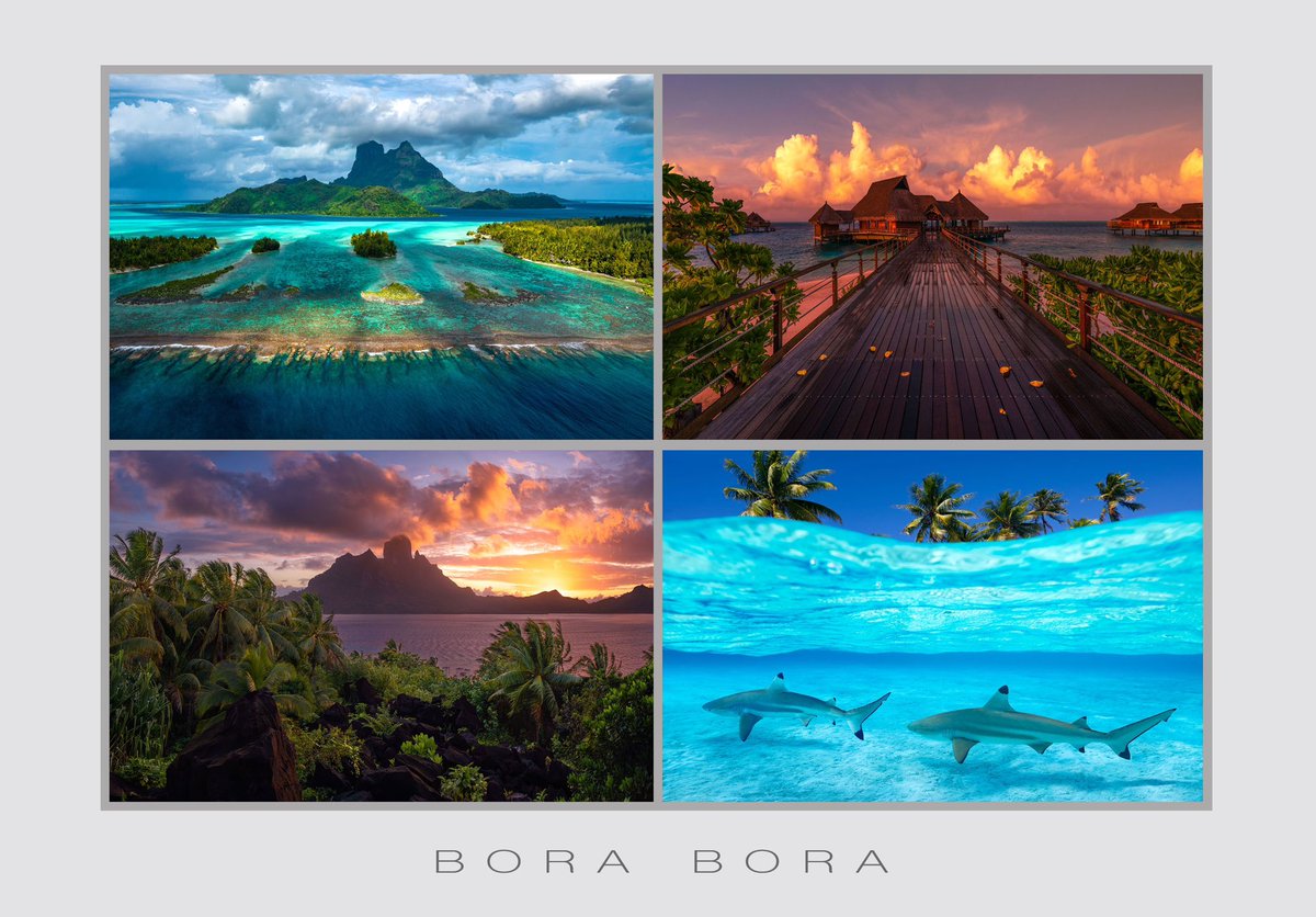 Something I find interesting is that people are far more interested in pretty artwork and pretty photographs on this platform and much more uninterested in the actual business of selling or making a living off of their artwork? I am not sure what to think of that…