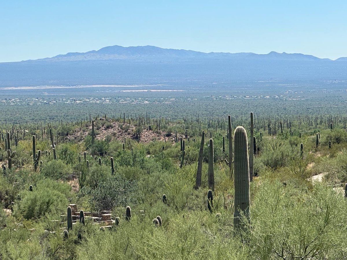 📍Arizona-Sonora Desert Museum

#arizona #museum #Sonora #sonorandesert #tucsonarizona #desert