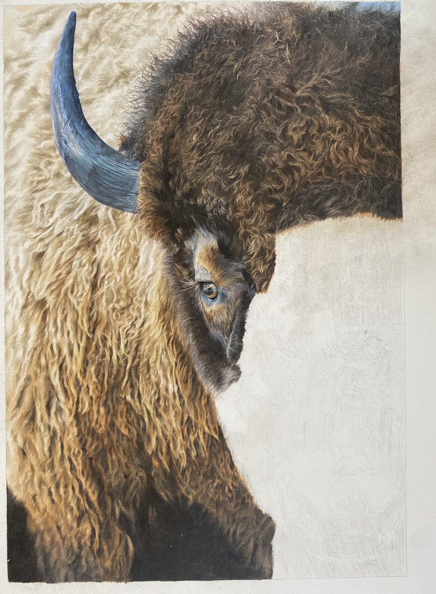 We celebrated our daughters 3rd birthday at the weekend!  

It was back to the drawing board first thing this morning and I’ve not been able to put the pencils down since ✍🏼 

I would really appreciate a retweet if you have the time!