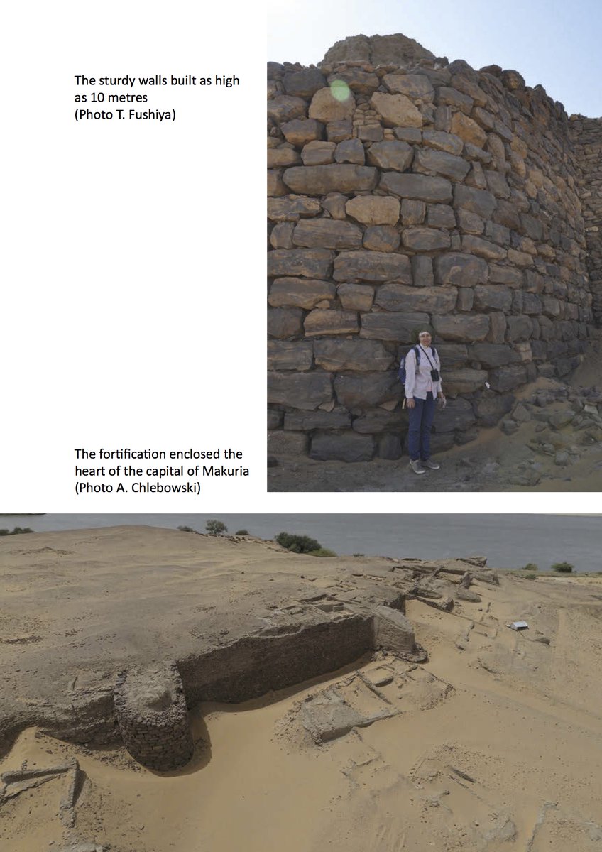 The African History Channel tweet media