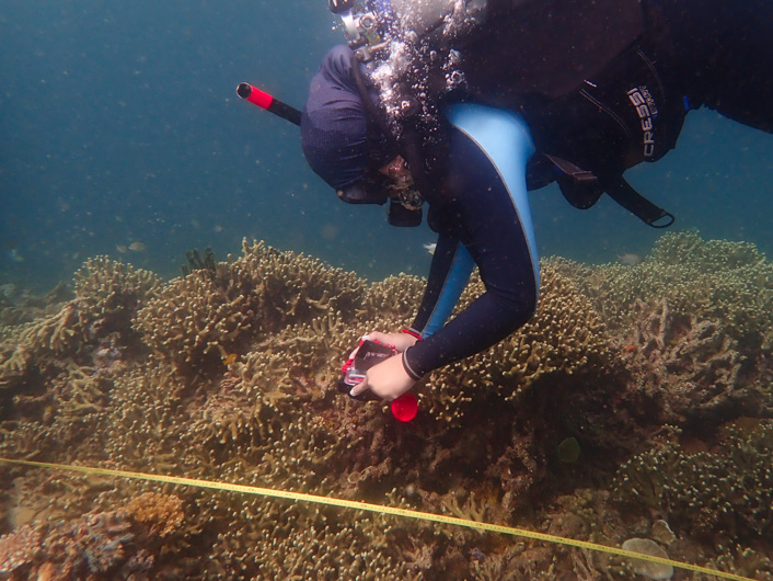 aims_gov_au's tweet image. We’re working with Palawan Council for Sustainable Development to train reef monitors to automate data collection &amp;amp; analysis using #ReefScan + #ReefCloud. With @ausgov we’re building reef monitoring capabilities to inform management of these ecosystems. 
🔗ow.ly/lU5u50PMzsU