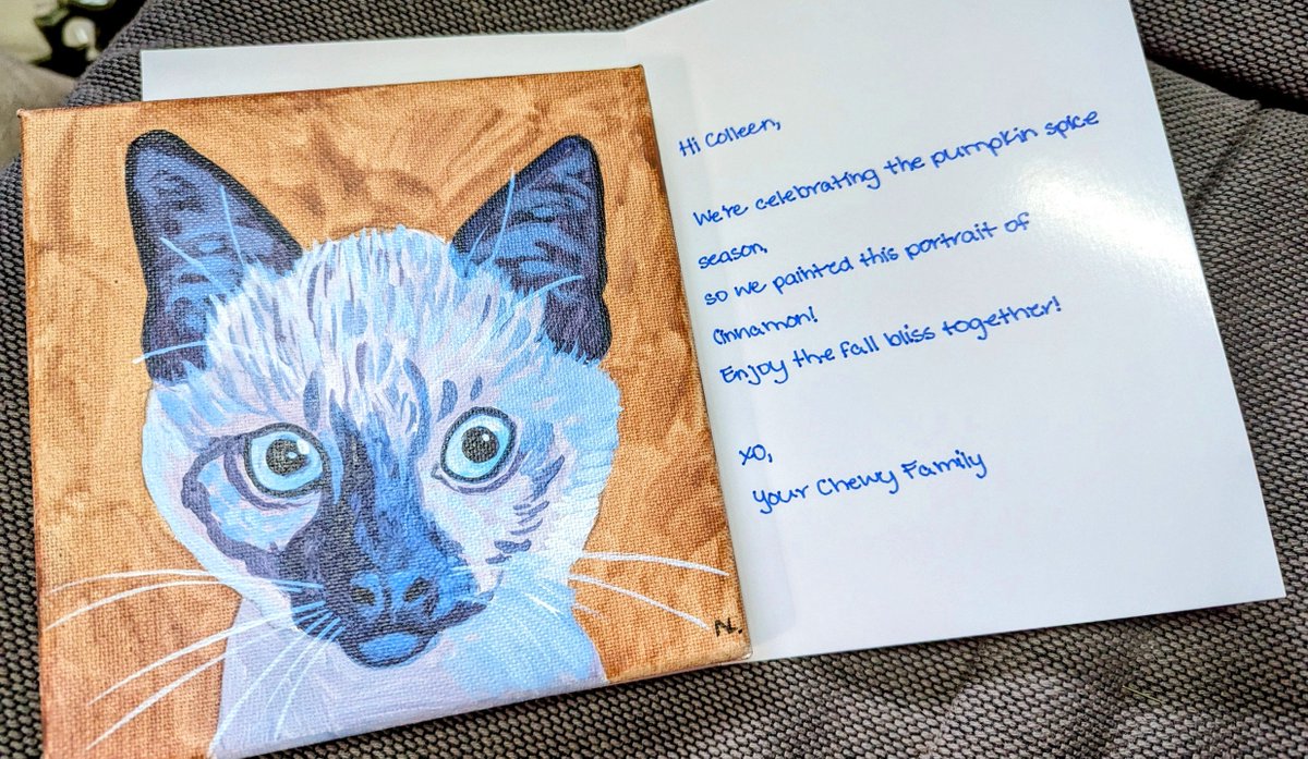 Colleen Mirabello tweet media