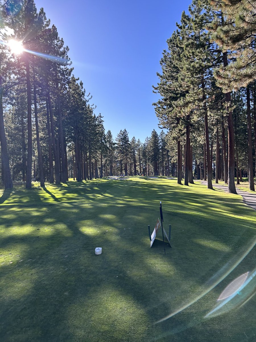 Ellis Axson tweet media