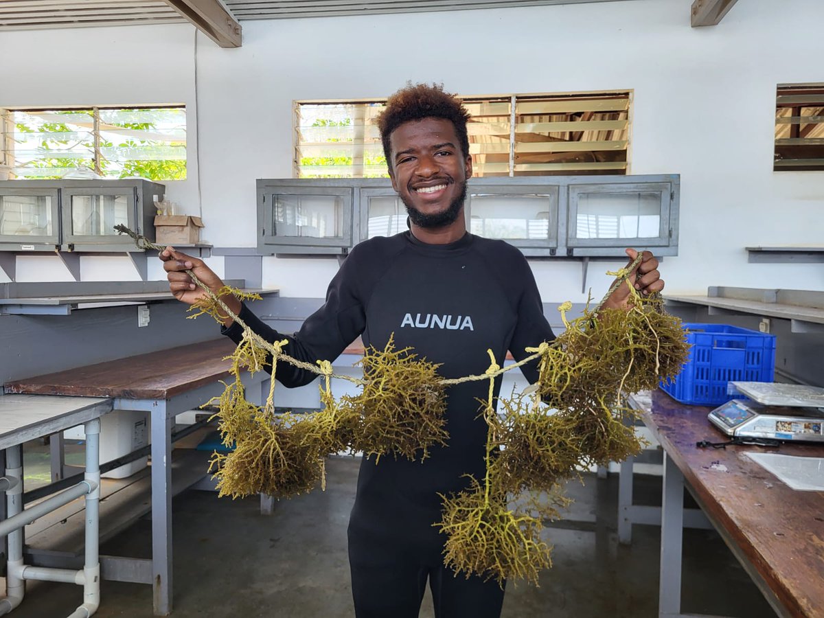 Trying something new with regards to writing and putting myself out there.

Check out my new blog, including a post on "My Summer Seaweed Project" I did at Discovery Bay this year

shorturl.at/mtCFM