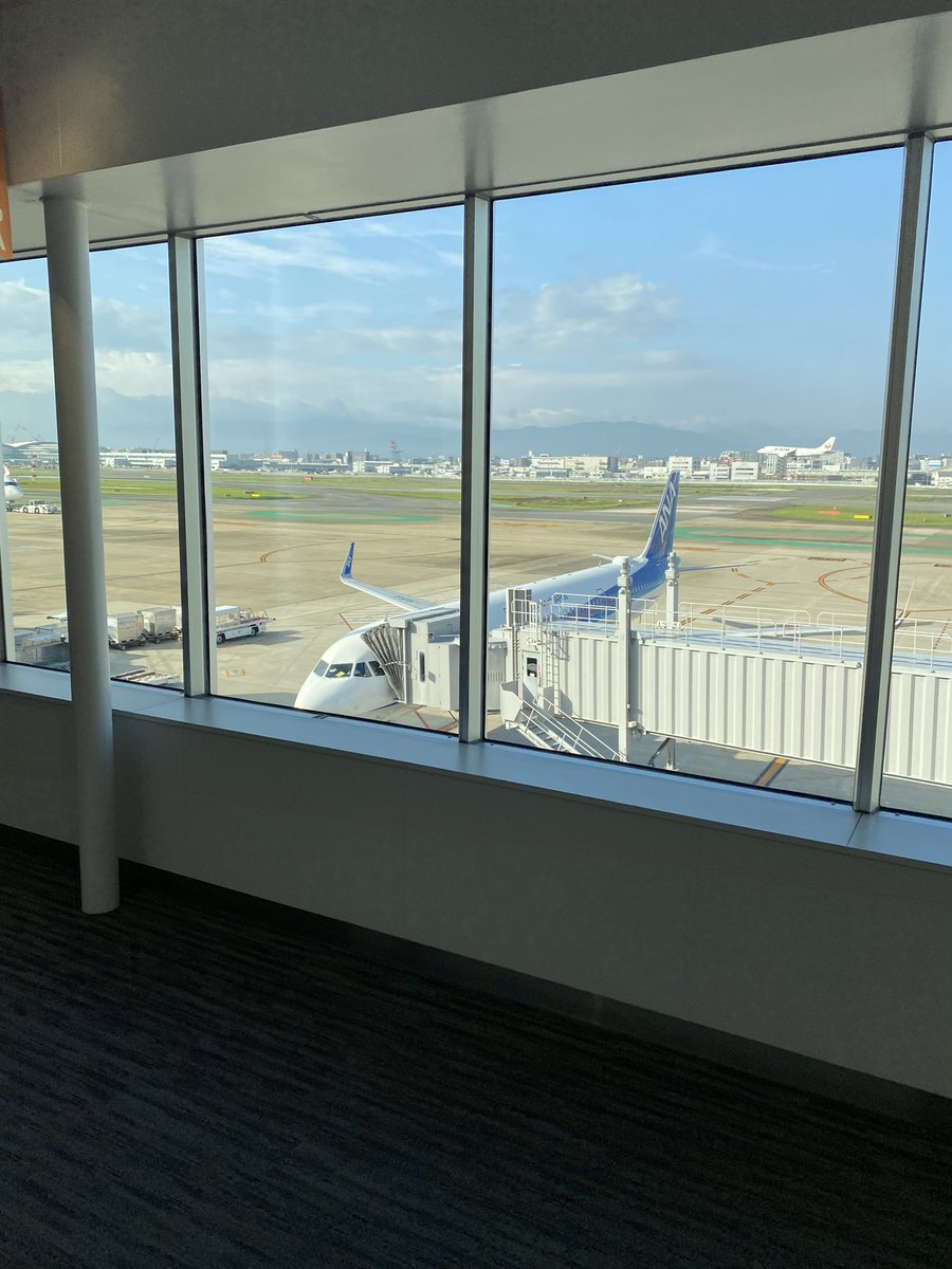 samecha1's tweet photo. 既に仕事中😵‍💫
今日は大阪から出勤しました✈️

 #ちゃんと起きれたよ
 #昨日はしあわせだったなぁ https://t.co/1cwQ4cvgpV