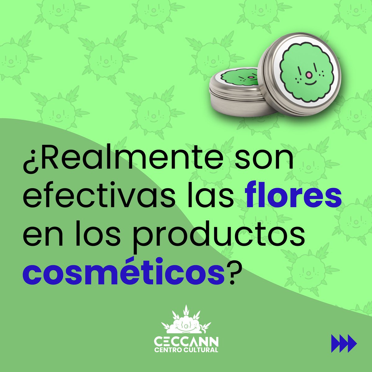 CeccannMX's tweet photo. Una de las mejores formas de recibir todos los beneficios de las flores de marihuana  en tu piel es elaborar tus propios productos, de esa manera verificas que las flores sean de buena calidad. 

Recuerda q' tenemos talleres de cosmética con CBD.Pide info y aparta tu lugar por MD https://t.co/X8n7MRf3XP
