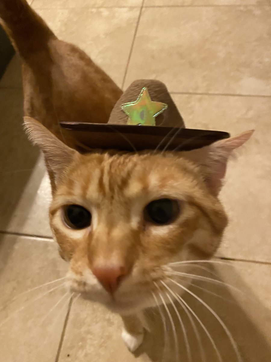 🤠🤠🤠
