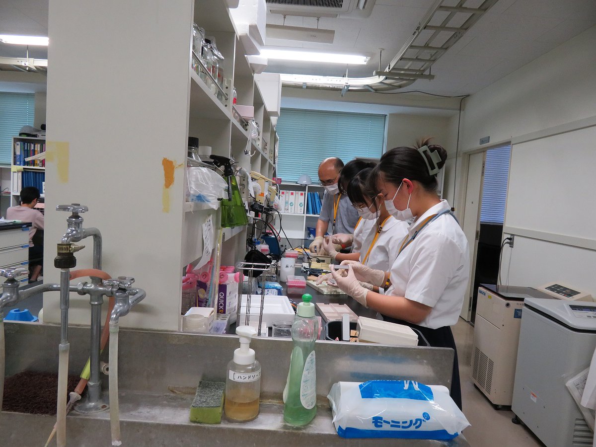 群馬大学生体調節研究所 tweet media