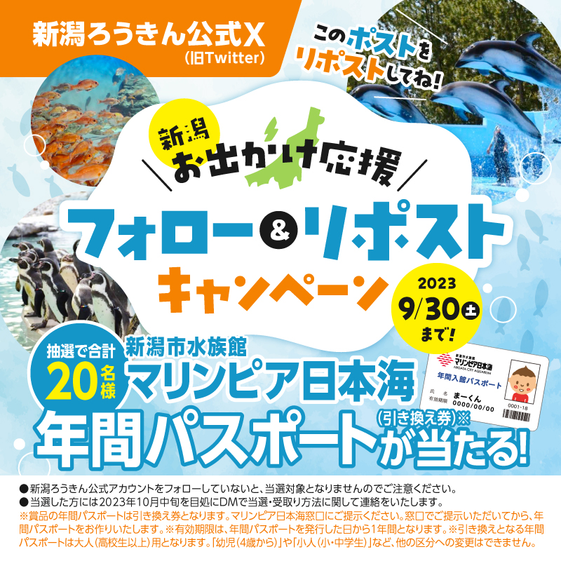 NiigataRokin's tweet photo. ◤フォロー＆リポストキャンペーン◢

🐬新潟市水族館マリンピア日本海🐬
🐬年間パスポート引換券が当たる🐬

参加条件
1⃣@NiigataRokinをフォロー
2⃣この投稿をリポスト
大人用の年間パスポート引換券が
抽選で20名に当たる🌟

当選者にはDM通知
リプ欄を必ず確認して参加してね💡
#新潟お出かけ応援 https://t.co/NLSbXI7jSd
