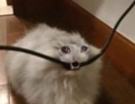 Honeyfull's tweet image. ¿Puedo shippar a Michael con Susana aunque sepa que es un barco mas hundido que el titanic? #GHVIP18S