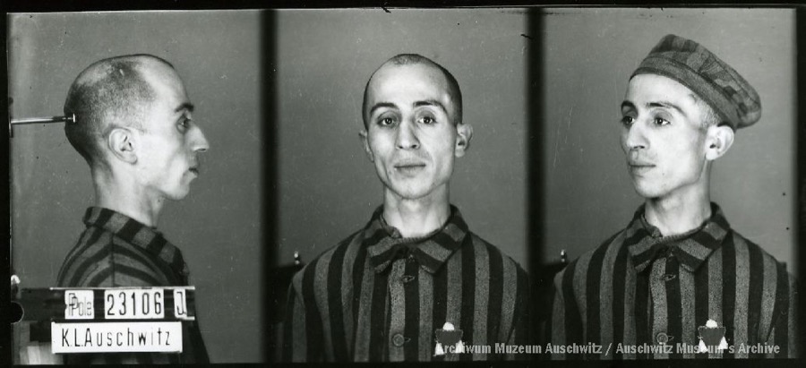 Auschwitz Memorial tweet media