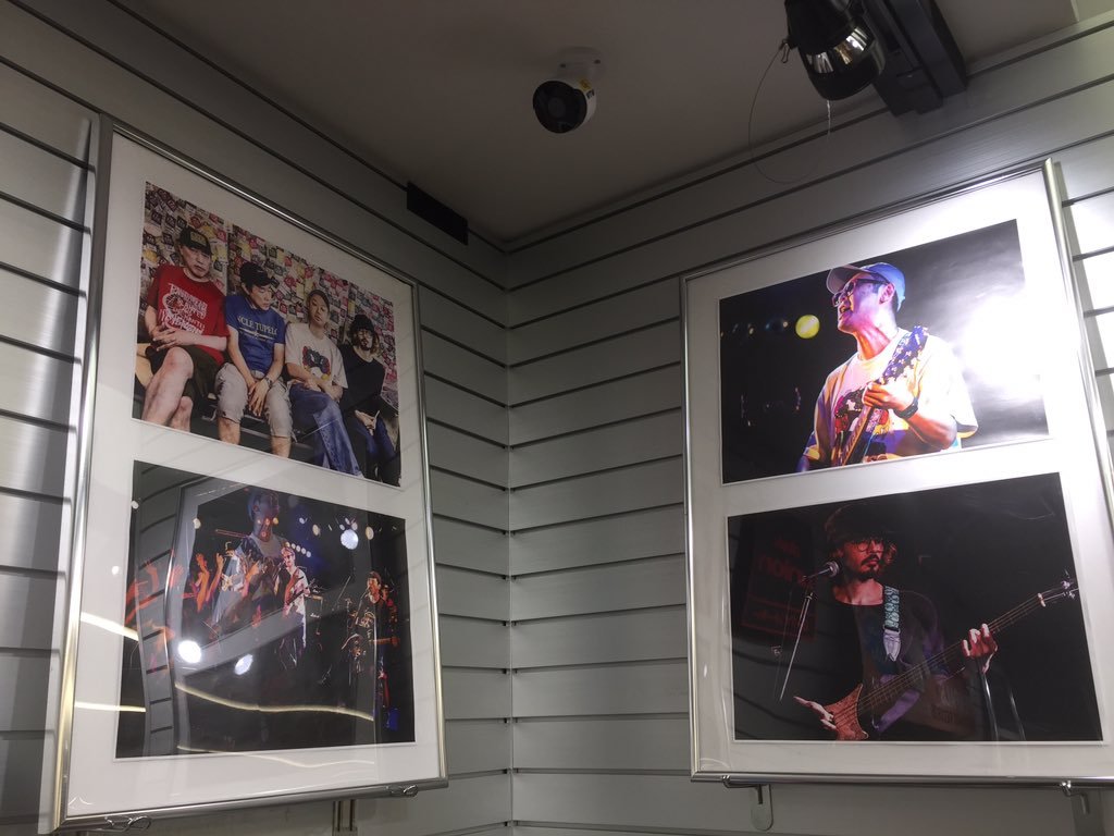 dp4_diskunion's tweet photo. 新作『1973』リリース記念❗️
【PENPALS & TESTCARD RECORDS】ポップアップアショップをROCK in TOKYOで開催中🎉
7月2日F.A.D YOKOHAMAにて開催したワンマンライブの演奏シーンを収めた写真パネルも大展開🖼️✨
是非お立ち寄りください🥳🎶
https://t.co/TV1YRyRQpk
#TESTCARDRECORDS
#PENPALS https://t.co/IbFI2Wz68q
