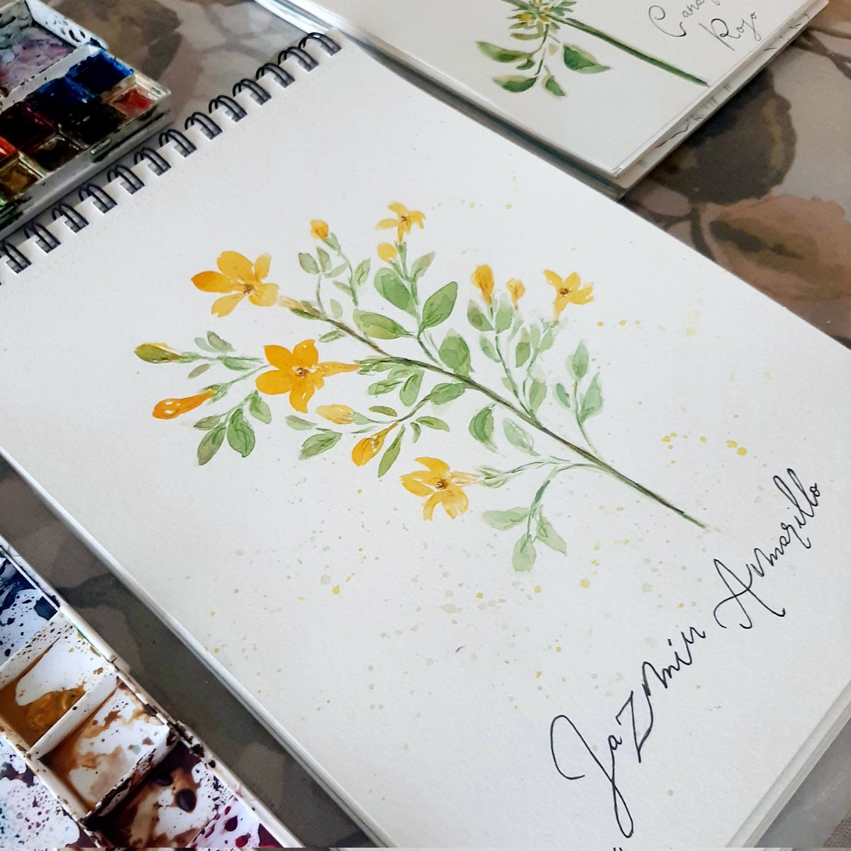Ya se siente la primavera.....
Jazmines amarillos hoy....
Mi trabajo en acuarela 
#acuarela #watercolor #watercolorpainting  #flores #flower #kukka