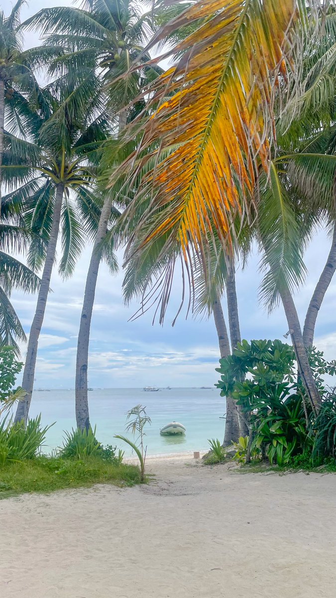mea18com_'s tweet photo. わたしのボラカイ夏休み🏝️

絵に描いたようなアジアリゾート、とっても素敵だった。 https://t.co/YiDgqR7ApB