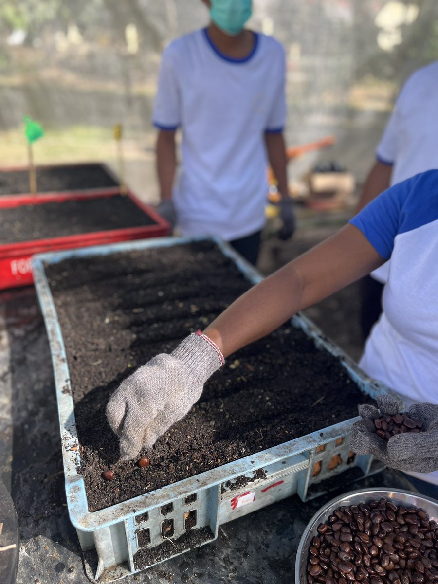 SusanaPMartins's tweet photo. At Tibar training center for the @EU_TimorLeste 🇪🇺#agroforestry #skillscompetition
Good luck to the #Tibar team 🍀🍀🍀 https://t.co/vj6tcNhaw6
