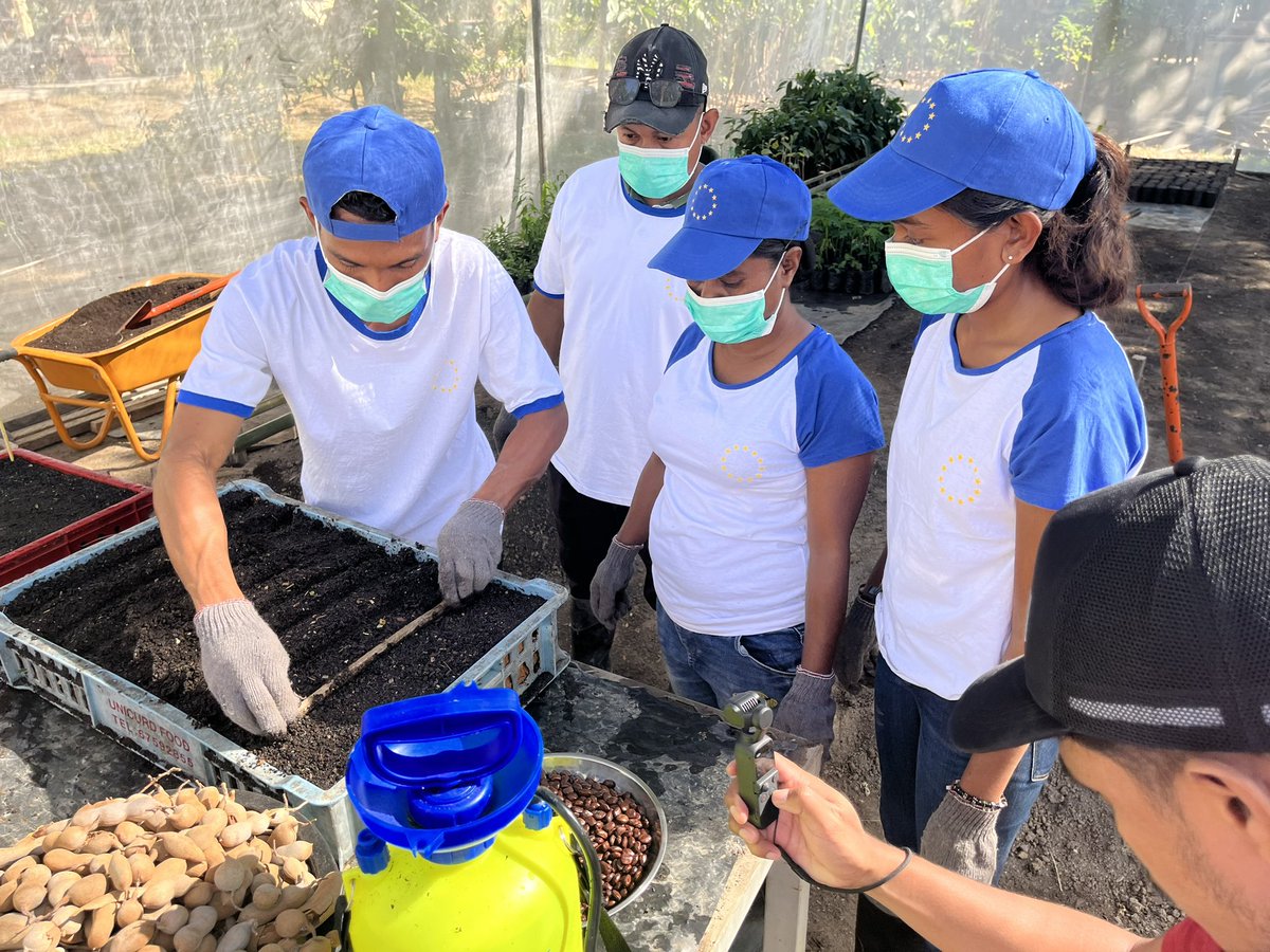 SusanaPMartins's tweet photo. At Tibar training center for the @EU_TimorLeste 🇪🇺#agroforestry #skillscompetition
Good luck to the #Tibar team 🍀🍀🍀 https://t.co/vj6tcNhaw6