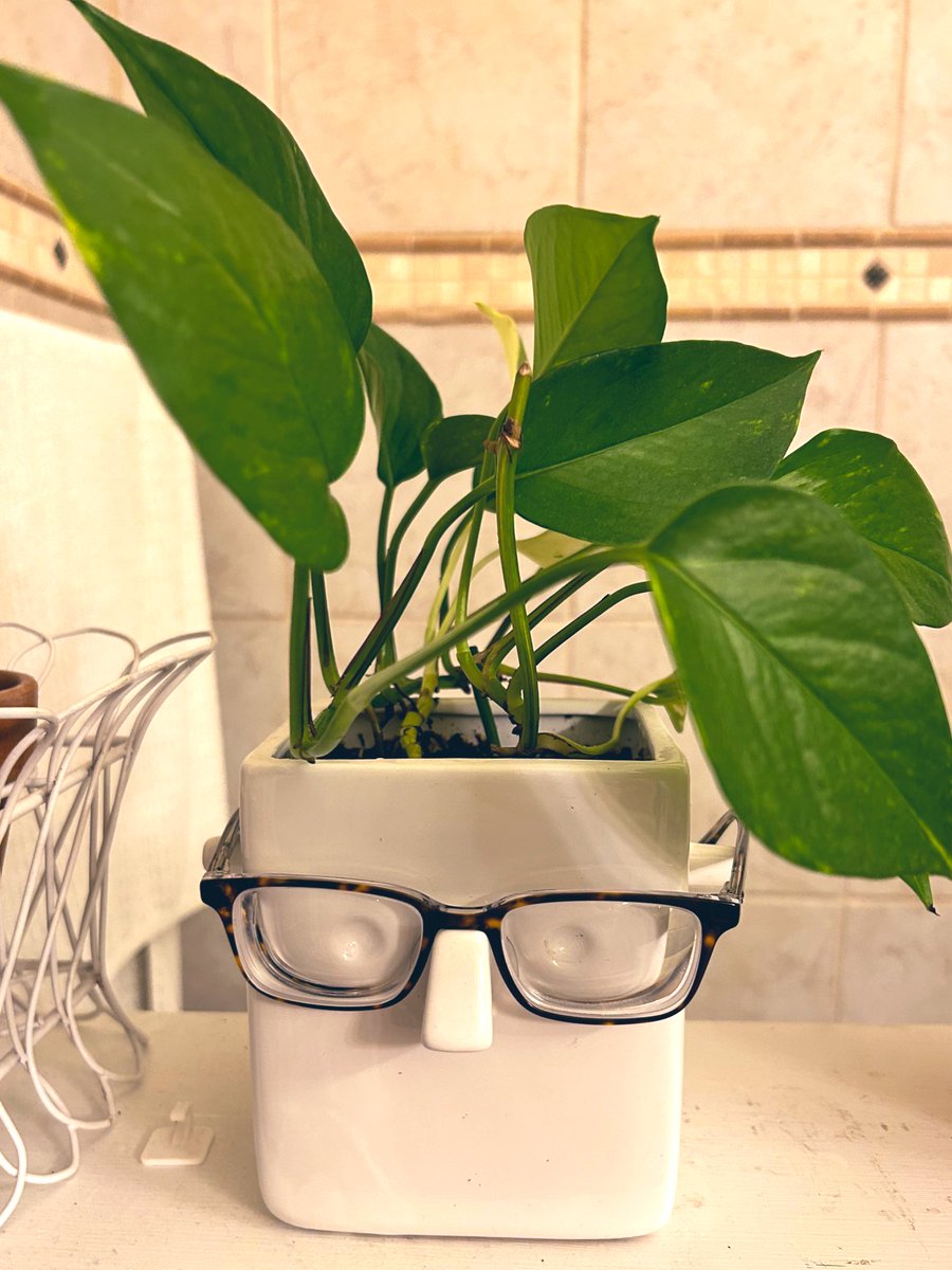 M Gallardo-Williams tweet media