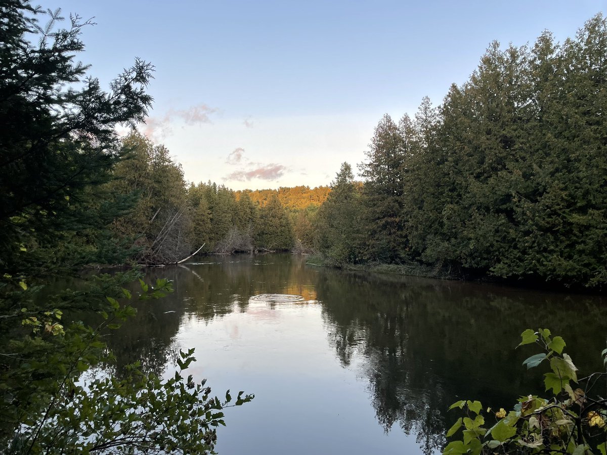 cryptogirl💋 tweet media