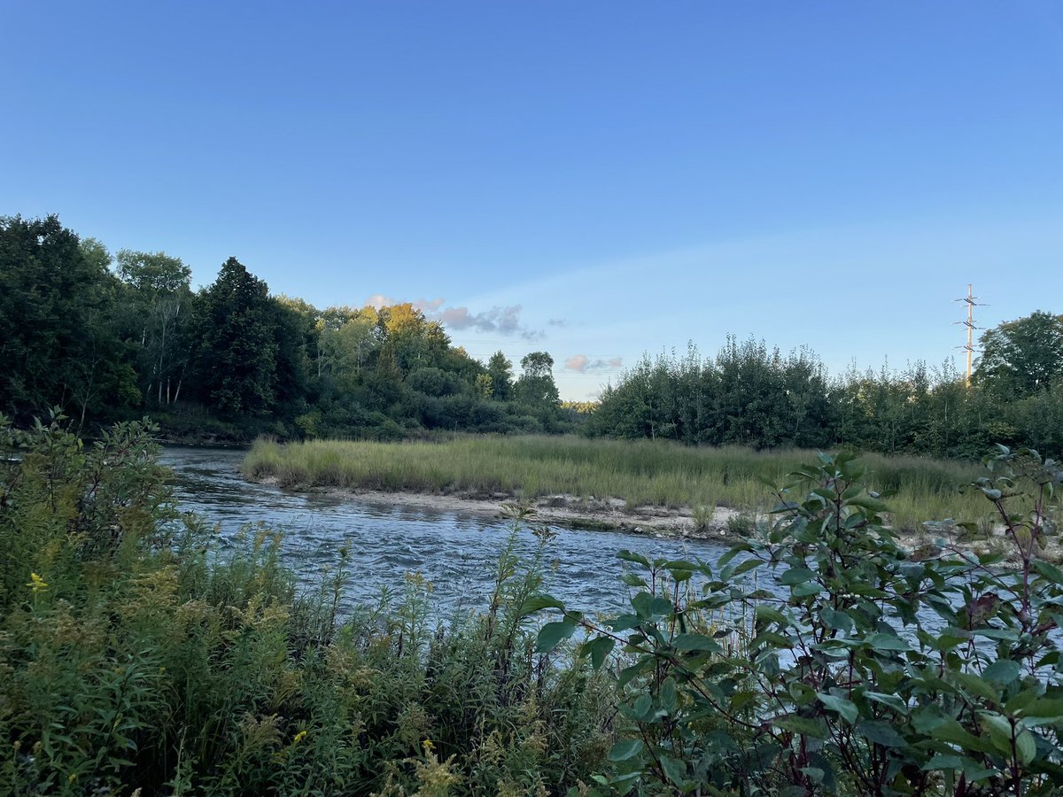 cryptogirl💋 tweet media