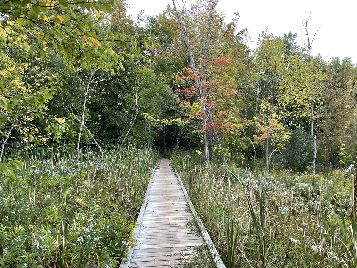 cryptogirl💋 tweet media