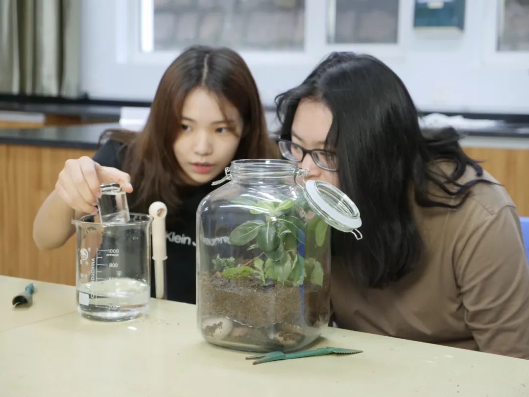 Qingdao Amerasia International School tweet media